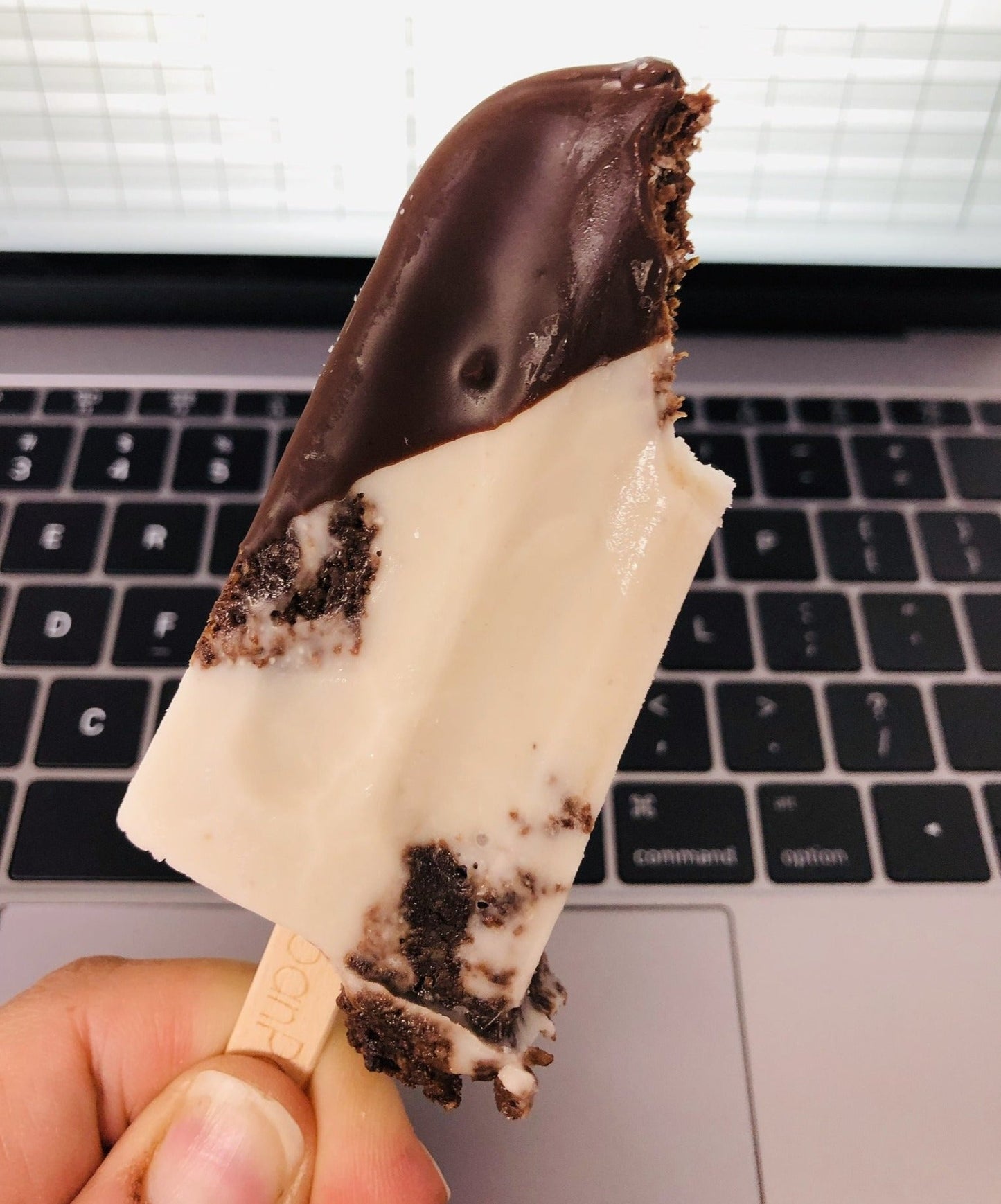 Coconut Chocolate Macaroon- Mini