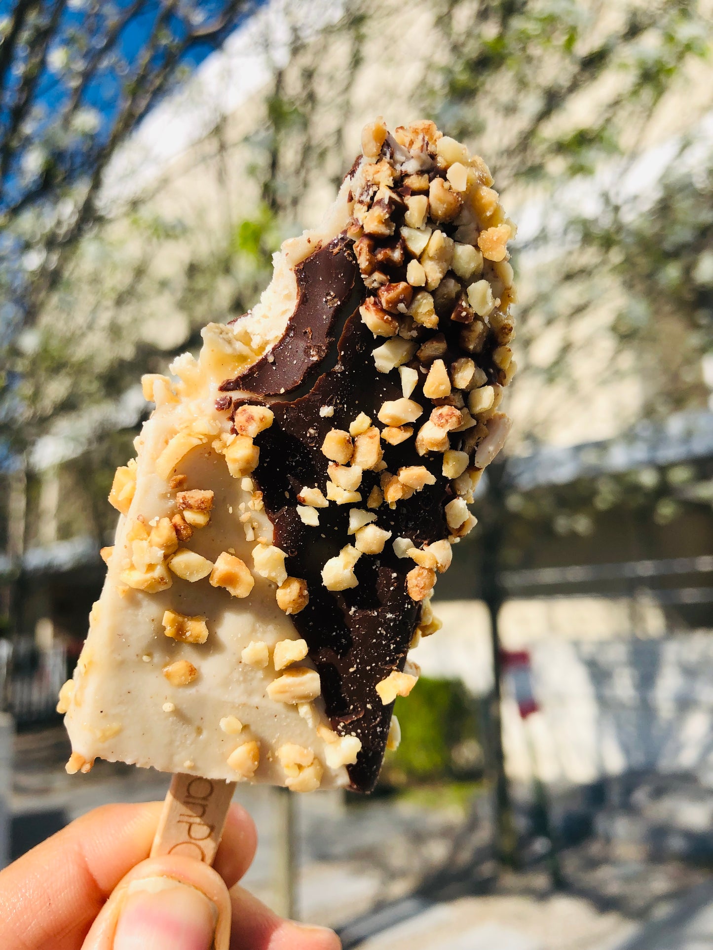 Viennese Crunch - Mini Size