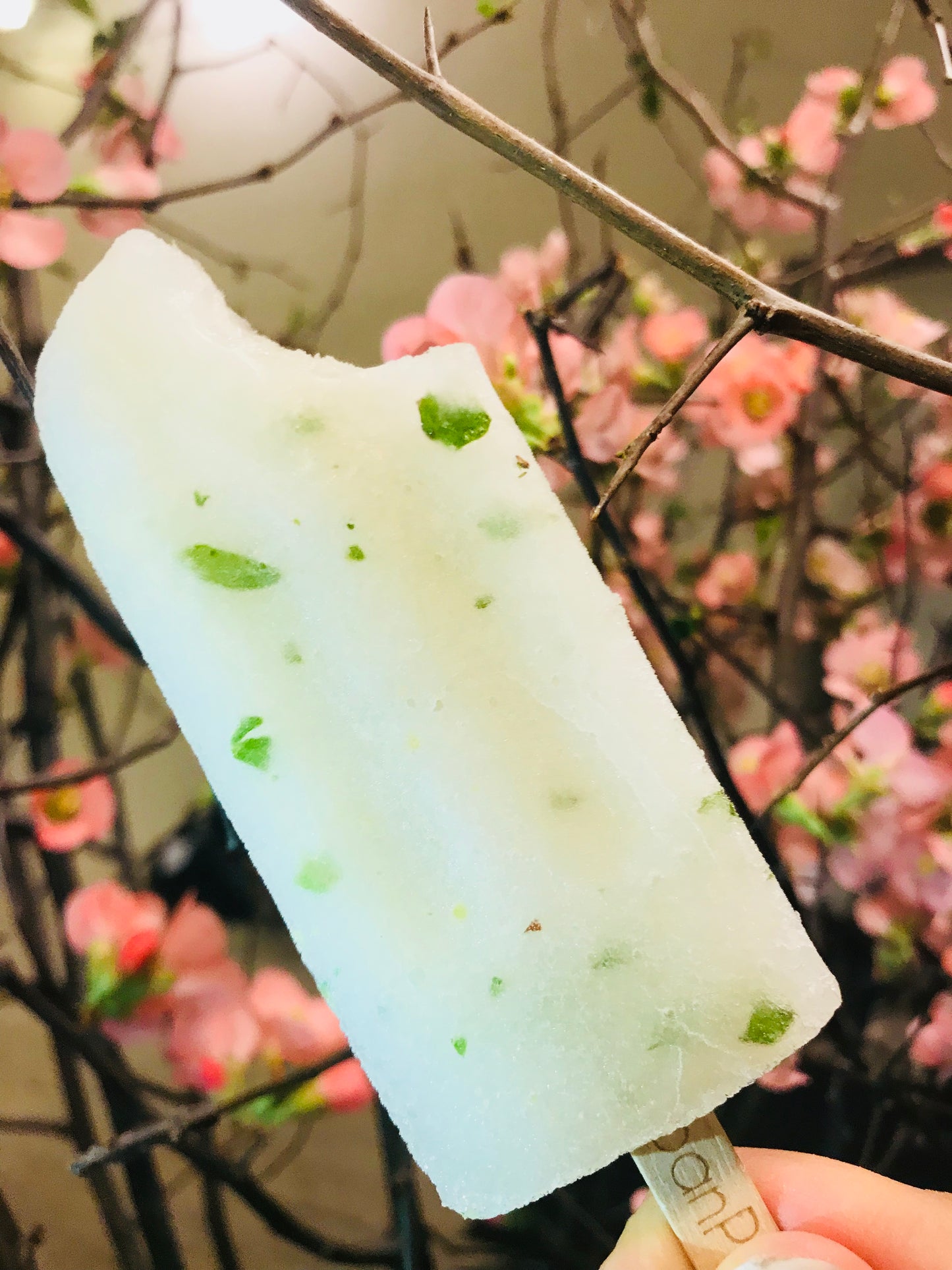 Limonana - Full Size