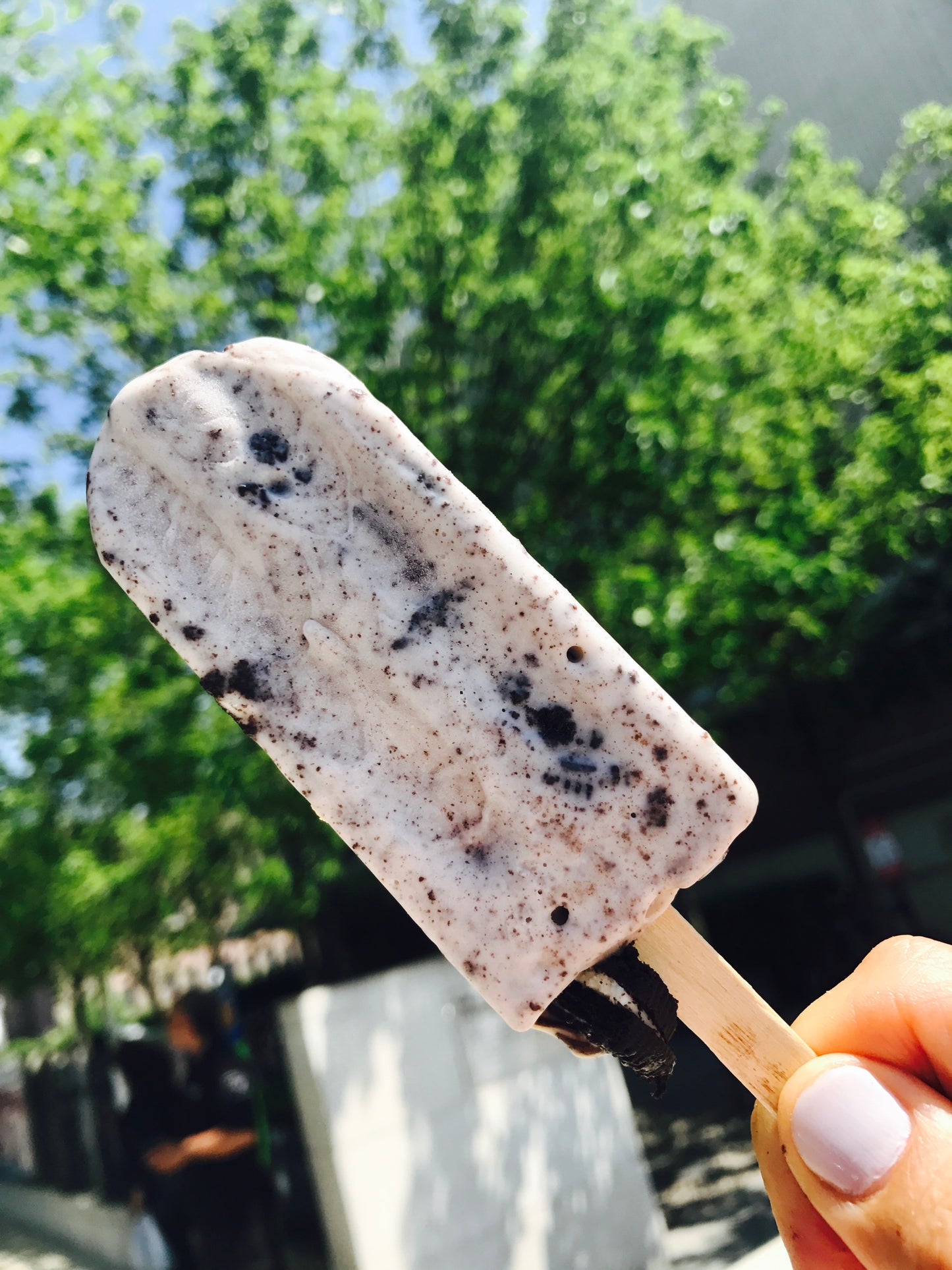 Cookies and Cream - Full Size