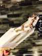 Vanilla Caramel Cone - Full Size