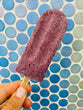 Berry FitPop! - Full Size