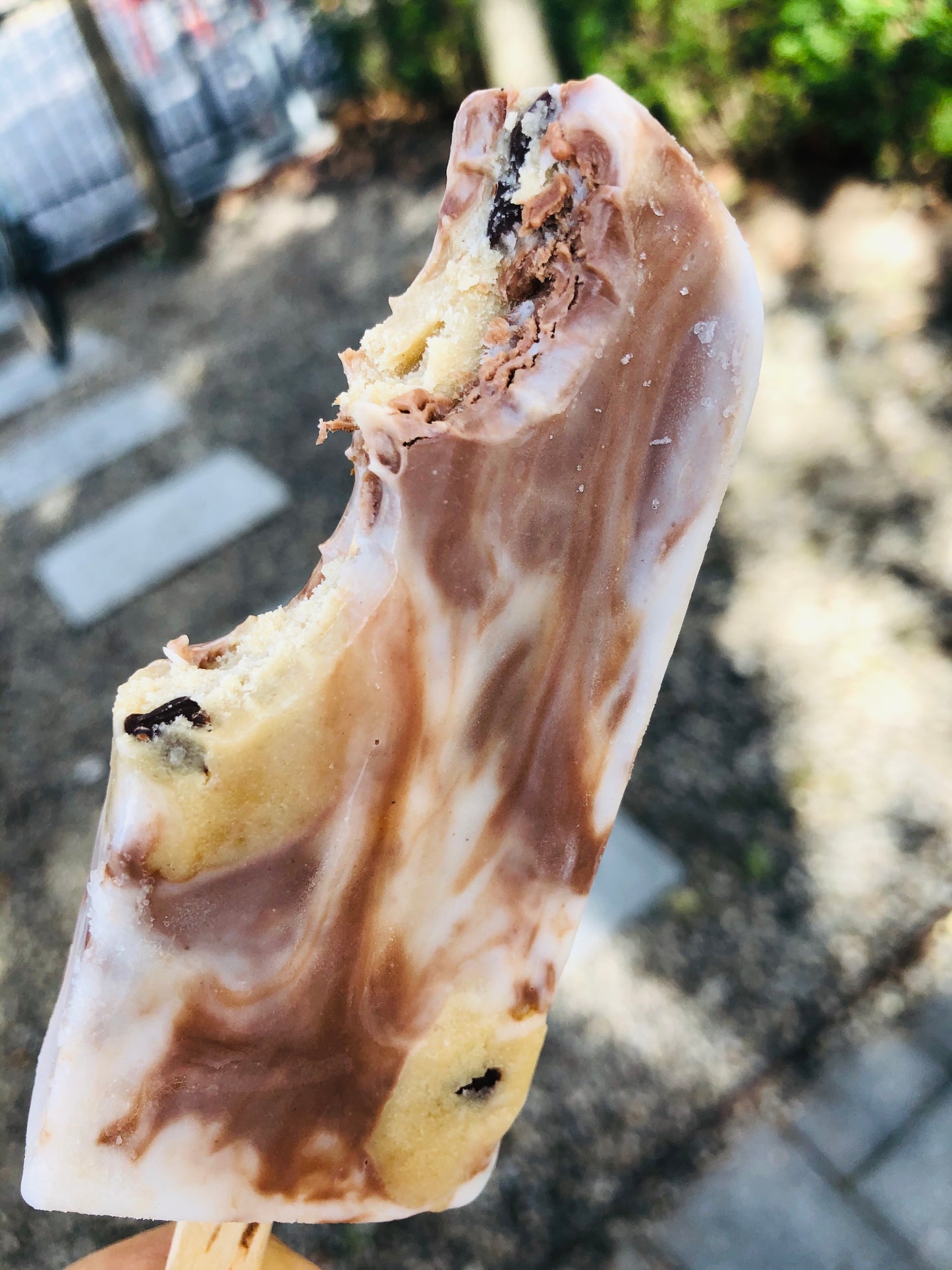 Vanilla / Chocolate Cookie Dough - Mini