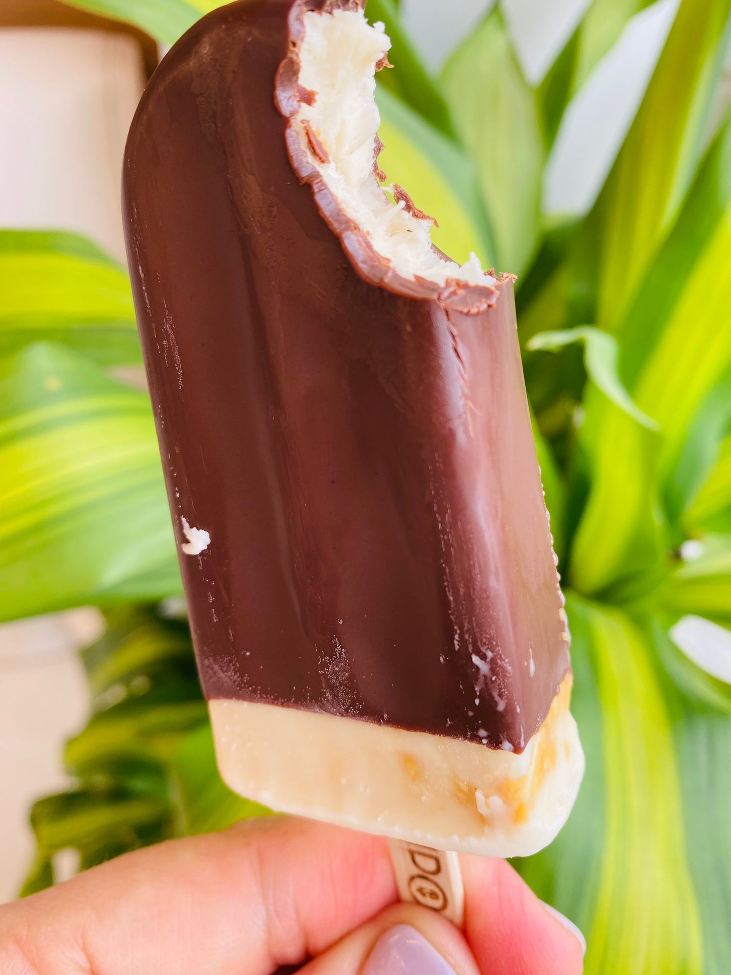 Caramel Snicks - Full Size