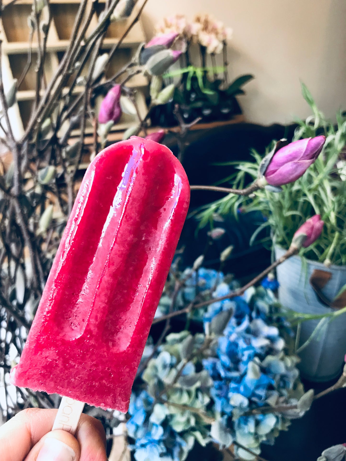 Blood Orange - Full Size