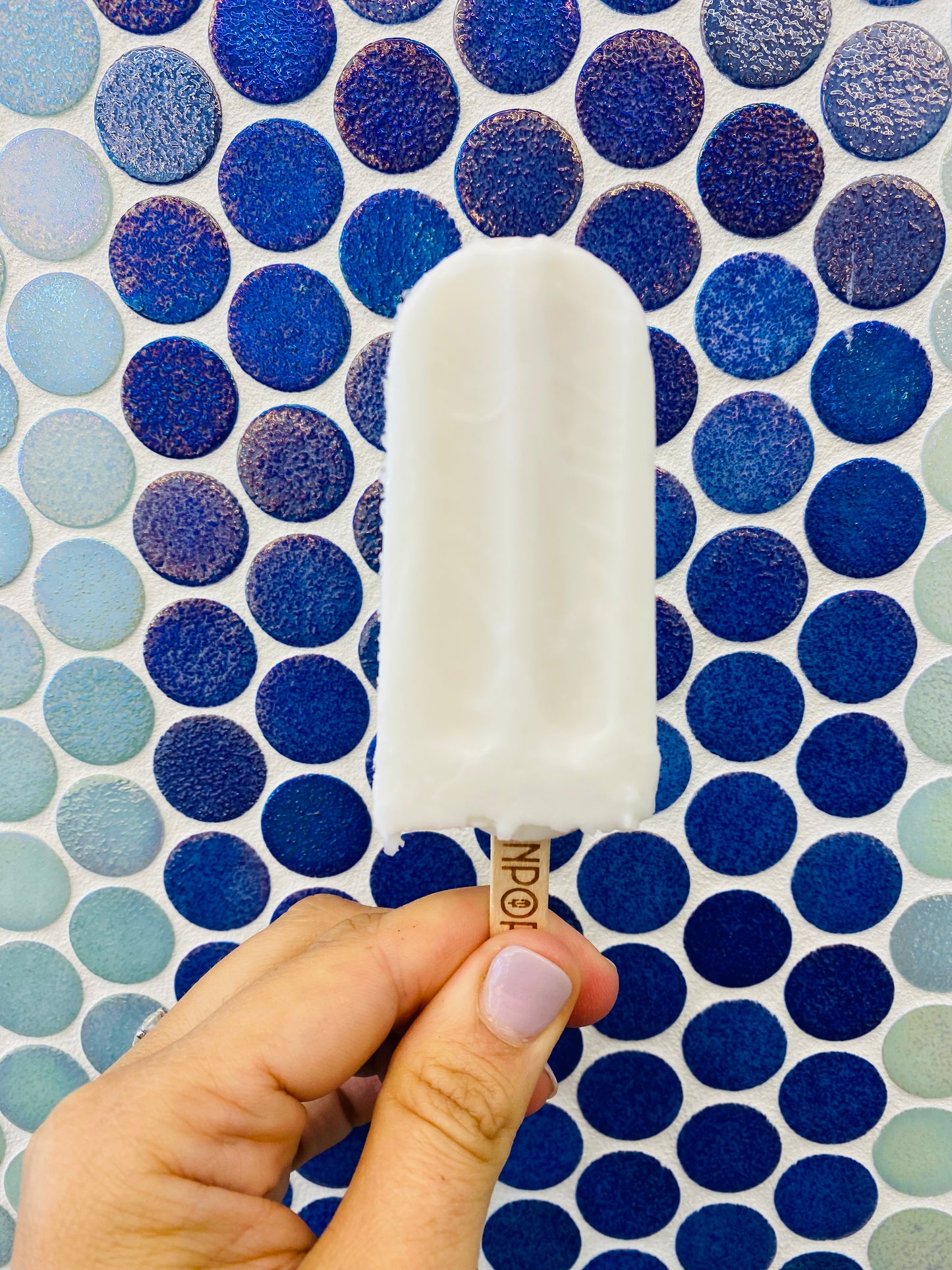 Coconut - Mini