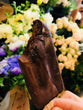 Chocolate Rx - Full Size
